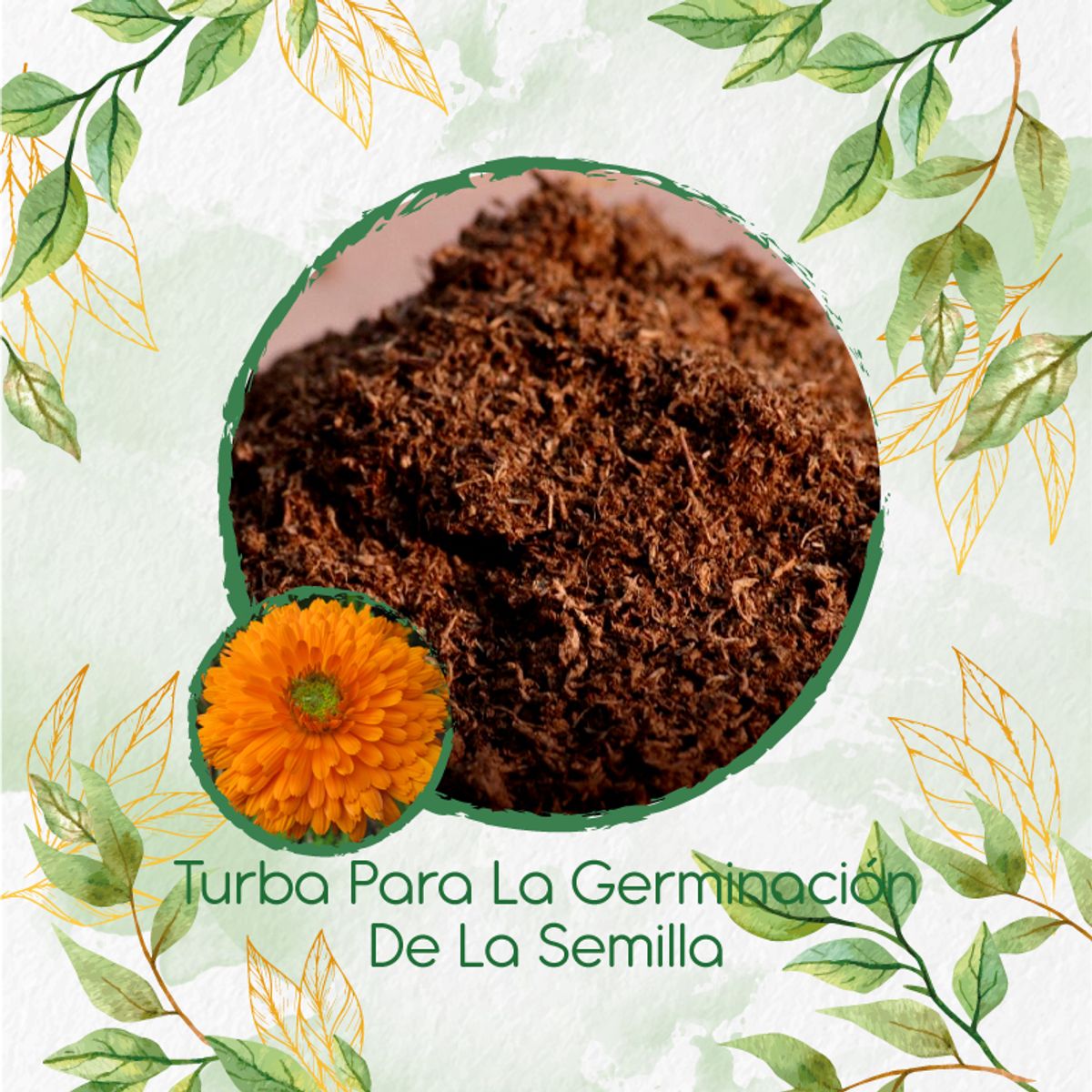 GENERICO - Turba Canadiense Especial Para Semillas De Caléndula Naranja
