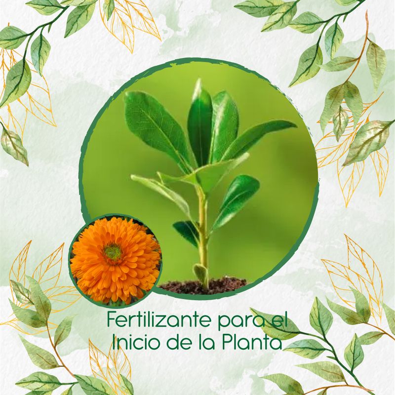 GENERICO - Fertilizante Para El Inicio De Flor Caléndula Naranja