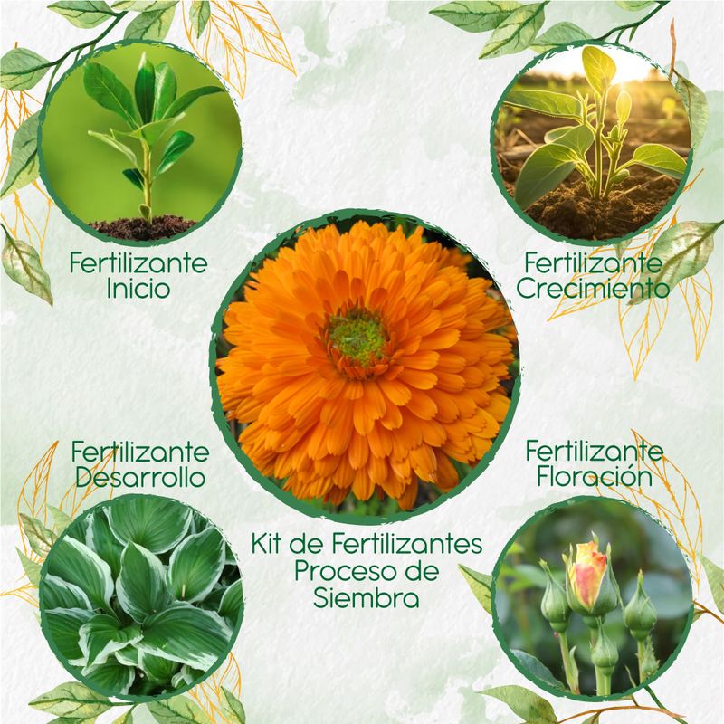 GENERICO - Kit De Fertilizantes Para La Siembra De Flor Caléndula Naranja