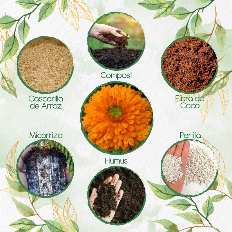 GENERICO - Kit De Acondicionadores De Suelos Para Flor Caléndula Naranja