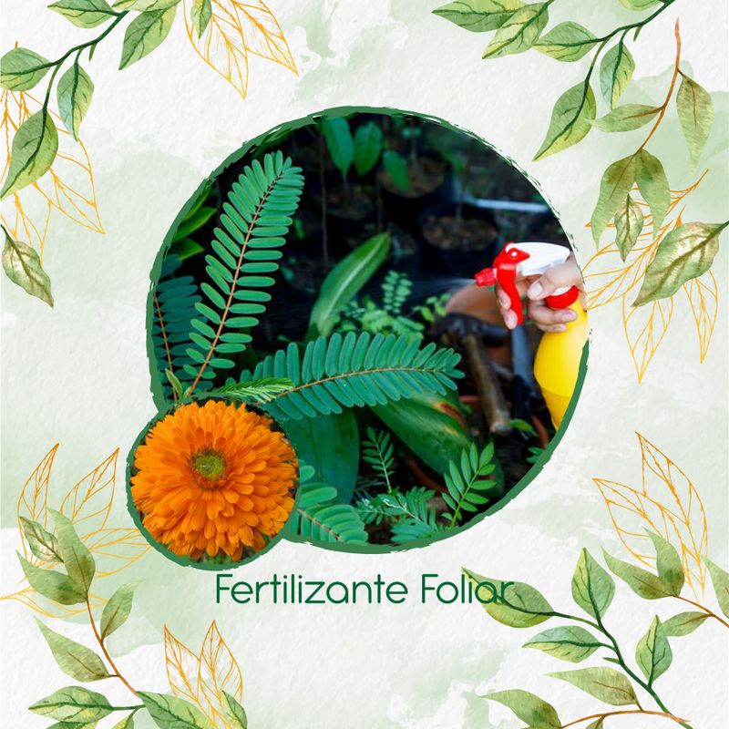 GENERICO - Fertilizante Generación De Brotes Para Flor Caléndula Naranja