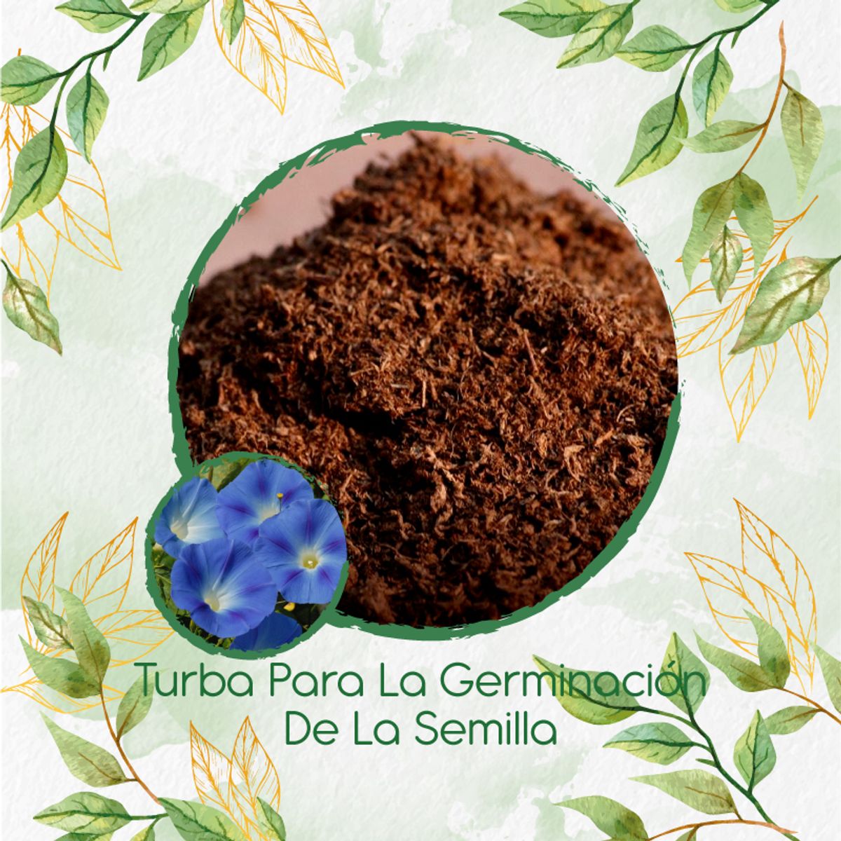 GENERICO - Turba Canadiense Especial Para Semillas De Campanilla Azul