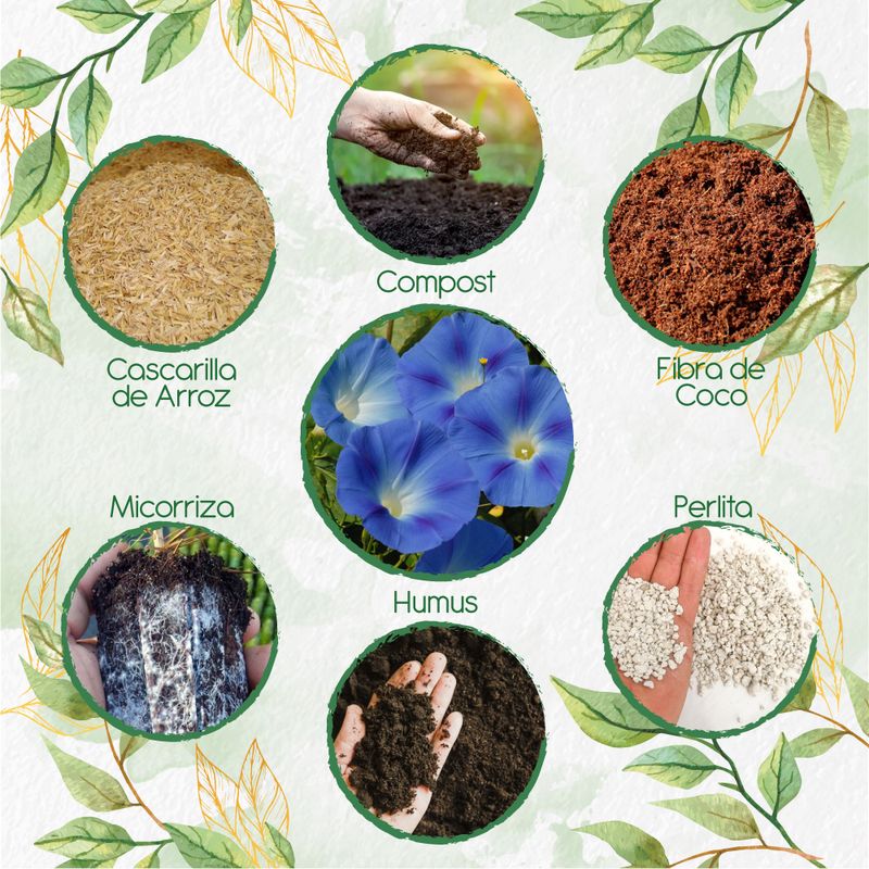GENERICO - Kit De Acondicionadores De Suelos Para Flor Campanilla Azul