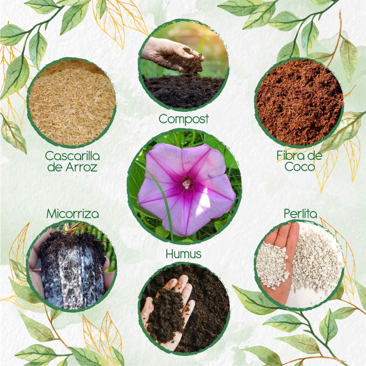 GENERICO - Kit De Acondicionadores De Suelos Para Flor Campanilla Mezcla