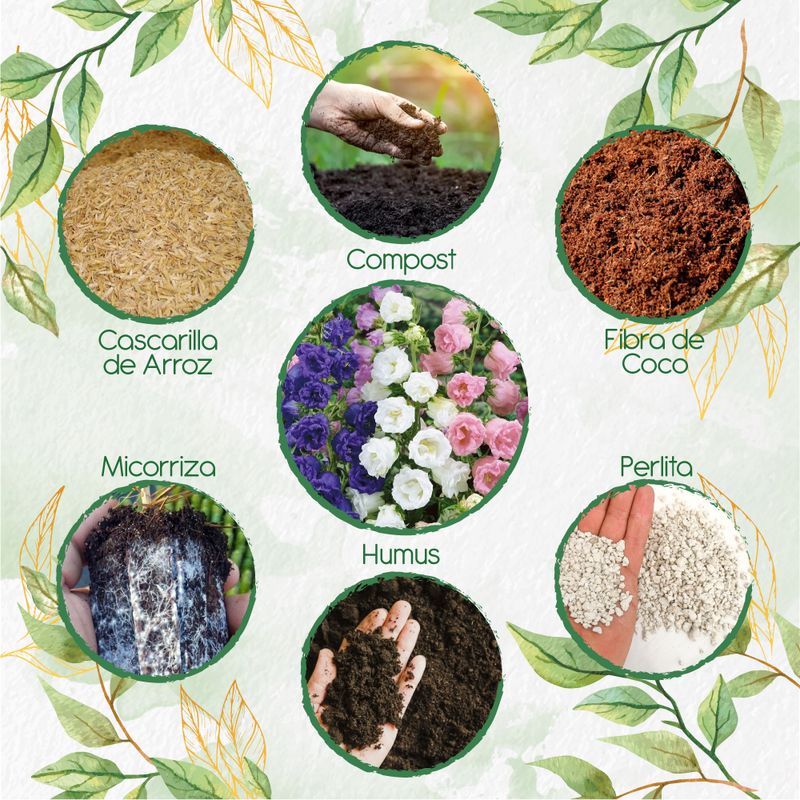 GENERICO - Kit De Acondicionadores De Suelos Para Flor Campánula