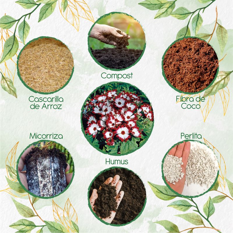GENERICO - Kit De Acondicionadores De Suelos Para Flor Cineraria