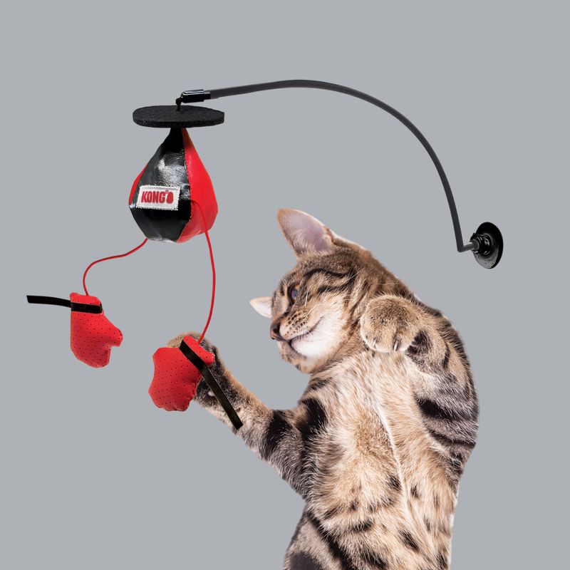 KONG COMPANY - KONG Connects Juguete Gato Boxeo Ventana