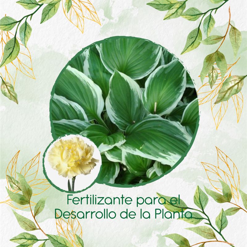 GENERICO - Fertilizante Para El Desarrollo De Flor Clavel Amarillo