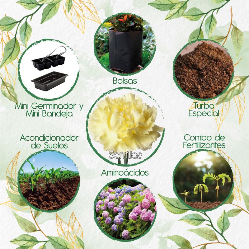 GENERICO - 40 Semillas Orgánicas De Flor Clavel Amarillo + Kit De Germinación