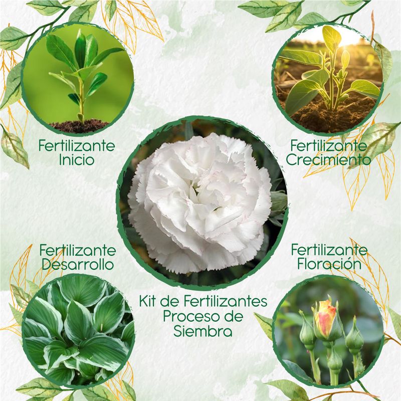 GENERICO - Kit De Fertilizantes Para La Siembra De Flor Clavel Blanco