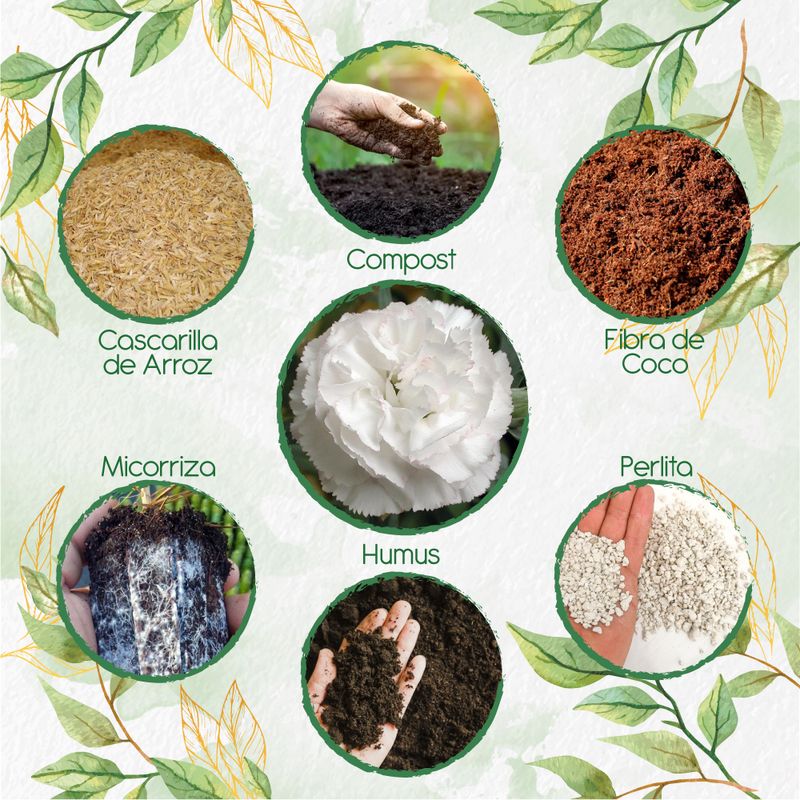 GENERICO - Kit De Acondicionadores De Suelos Para Flor Clavel Blanco