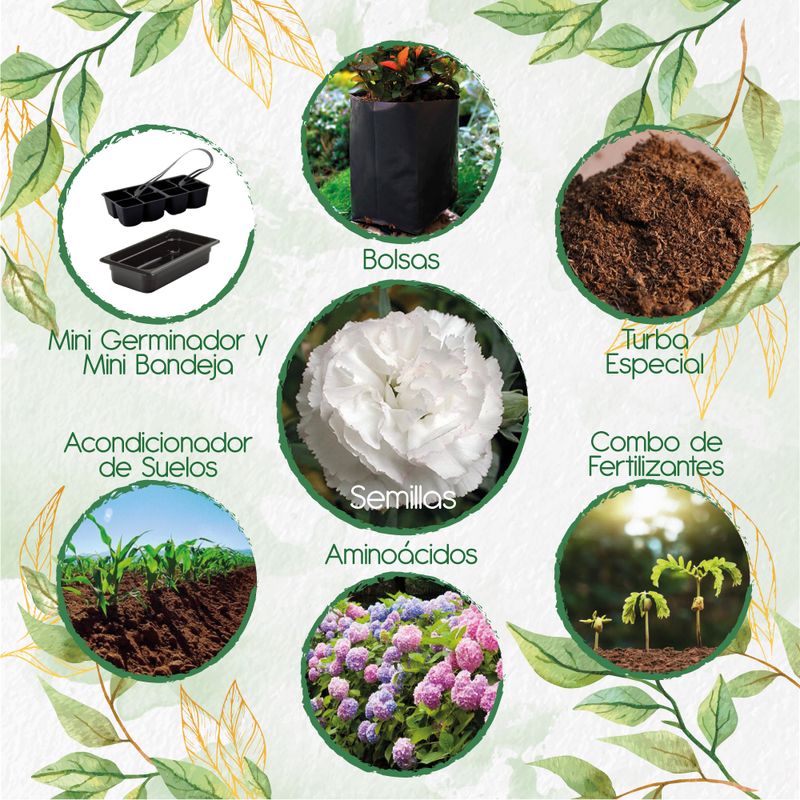 GENERICO - 40 Semillas Orgánicas De Flor Clavel Blanco + Kit De Germinación