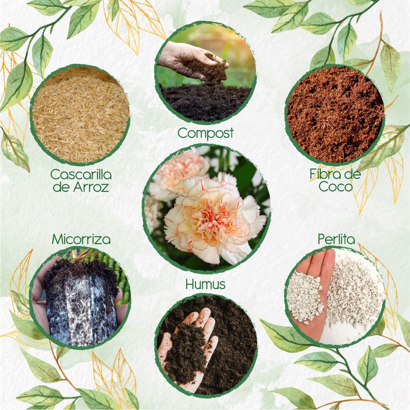 GENERICO - Kit De Acondicionadores De Suelos Para Flor Clavel Jaspeado Blanco