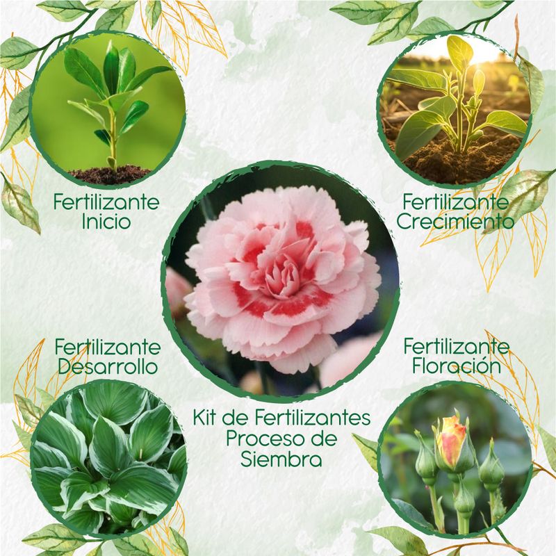 GENERICO - Kit De Fertilizantes Para La Siembra De Flor Clavel Mezcla