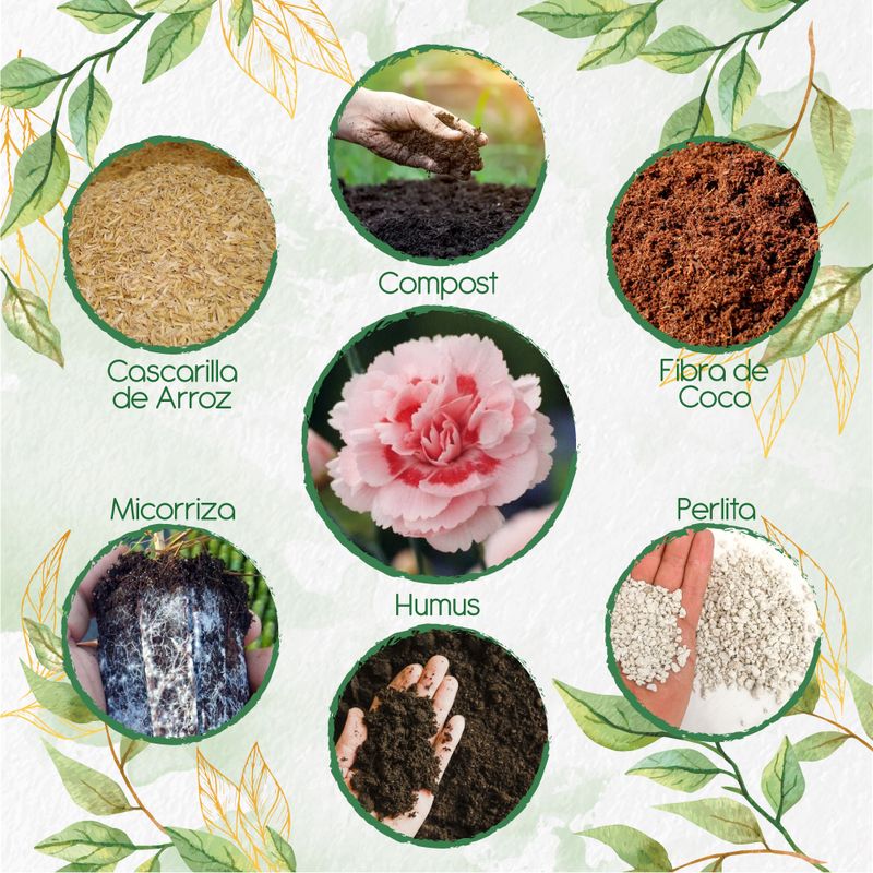 GENERICO - Kit De Acondicionadores De Suelos Para Flor Clavel Mezcla