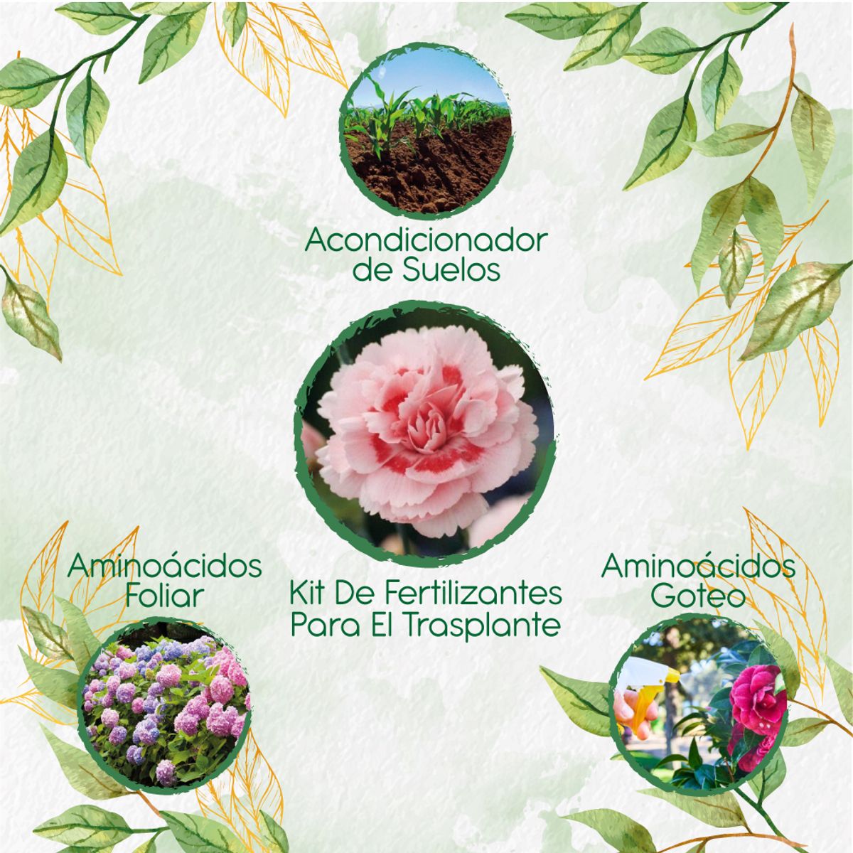 GENERICO - Kit De Fertilizantes Para El Trasplante De Flor Clavel Mezcla