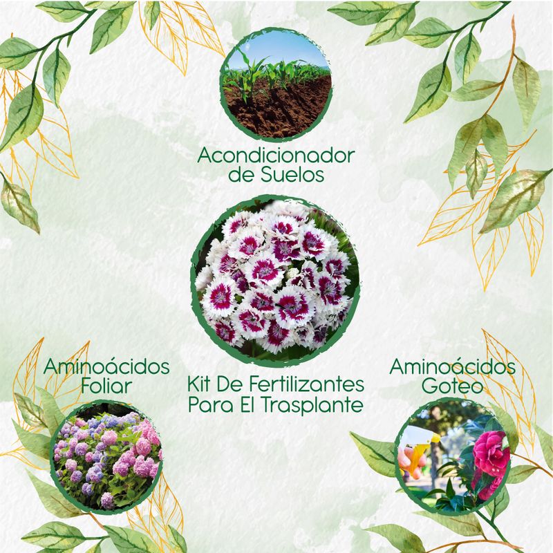 GENERICO - Kit De Fertilizantes Para El Trasplante De Flor Clavel Del Poeta