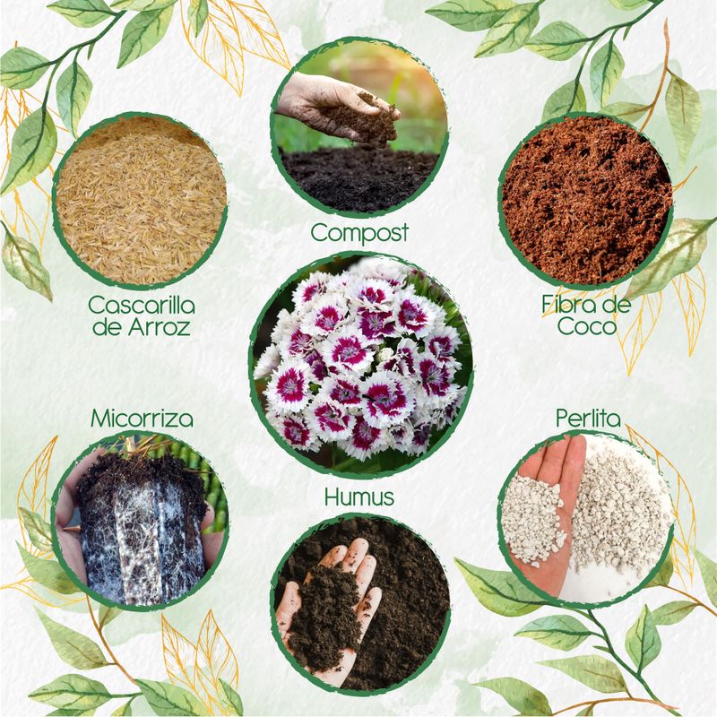 GENERICO - Kit De Acondicionadores De Suelos Para Flor Clavel Del Poeta