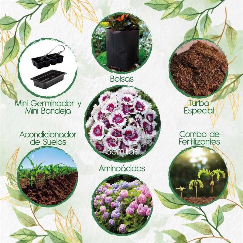 GENERICO - 150 Semillas Orgánicas De Flor Clavel Del Poeta + Kit De Germinación