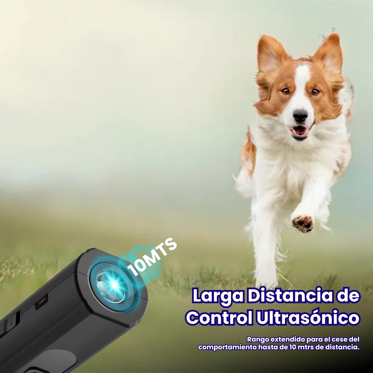 GENERICO - Entrenador Y Ahuyentador Ultrasónico Dispositivo De Perros