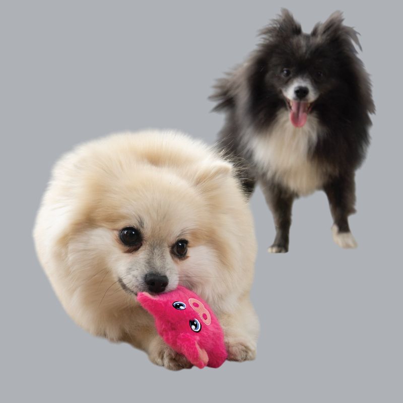 KONG COMPANY - KONG Snuzzles Mini Peluche Perro ref Cerdo talla XS