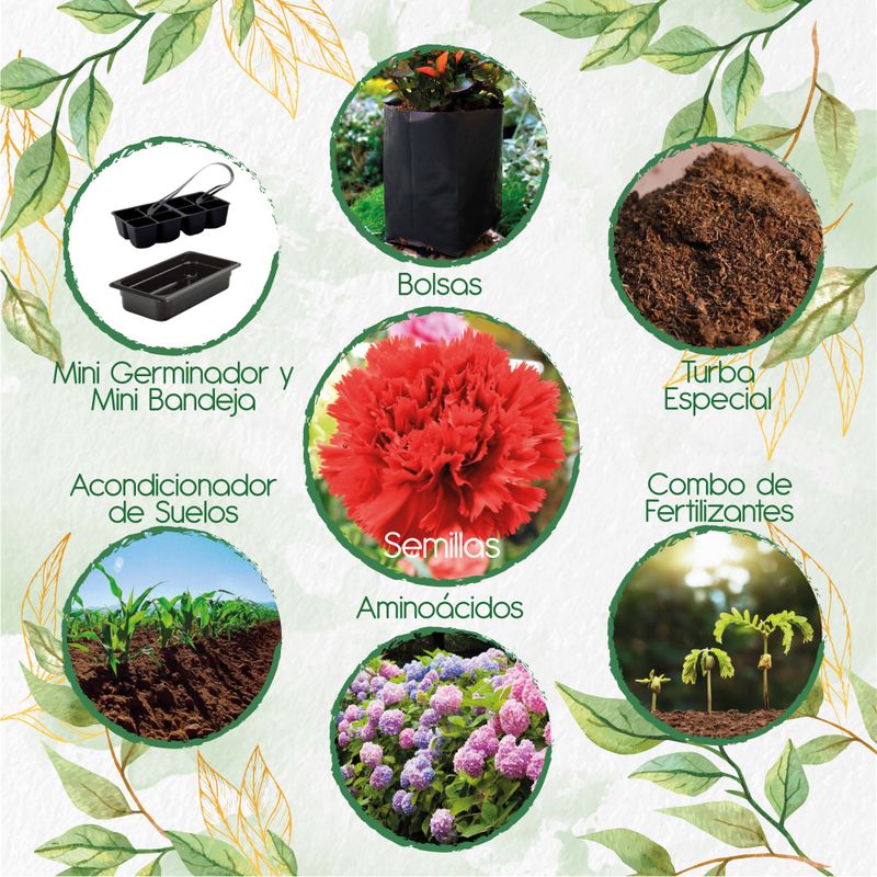GENERICO - 75 Semillas Orgánicas De Flor Clavel Rojo + Kit De Germinación