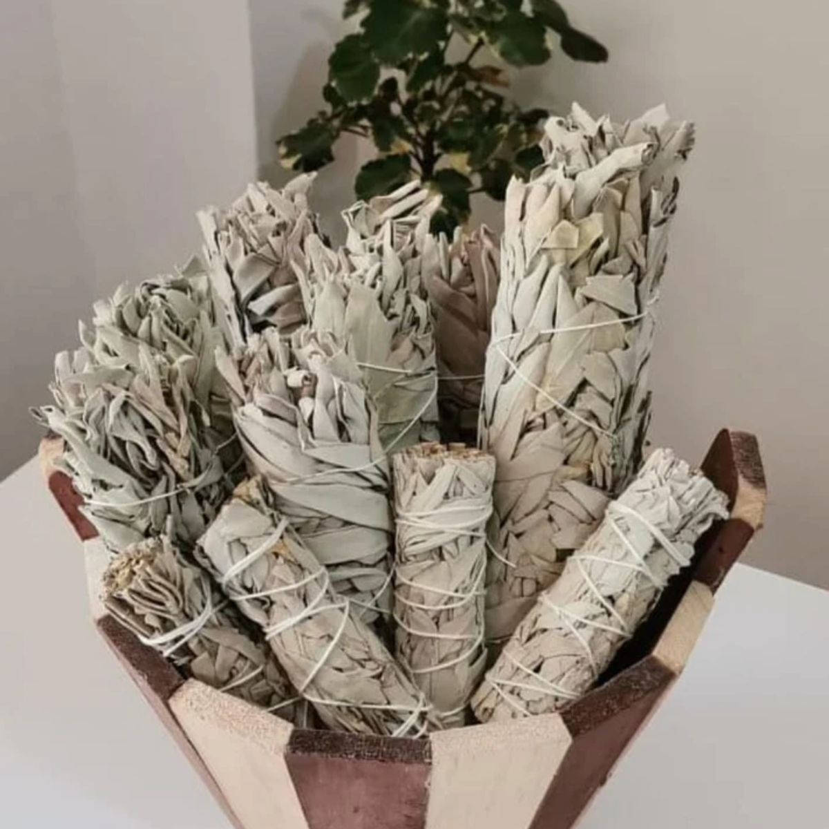 NATURE MADE - Salvia Blanca Orgánica 7 Rollos Sostenible 190 Gramos Aprox.