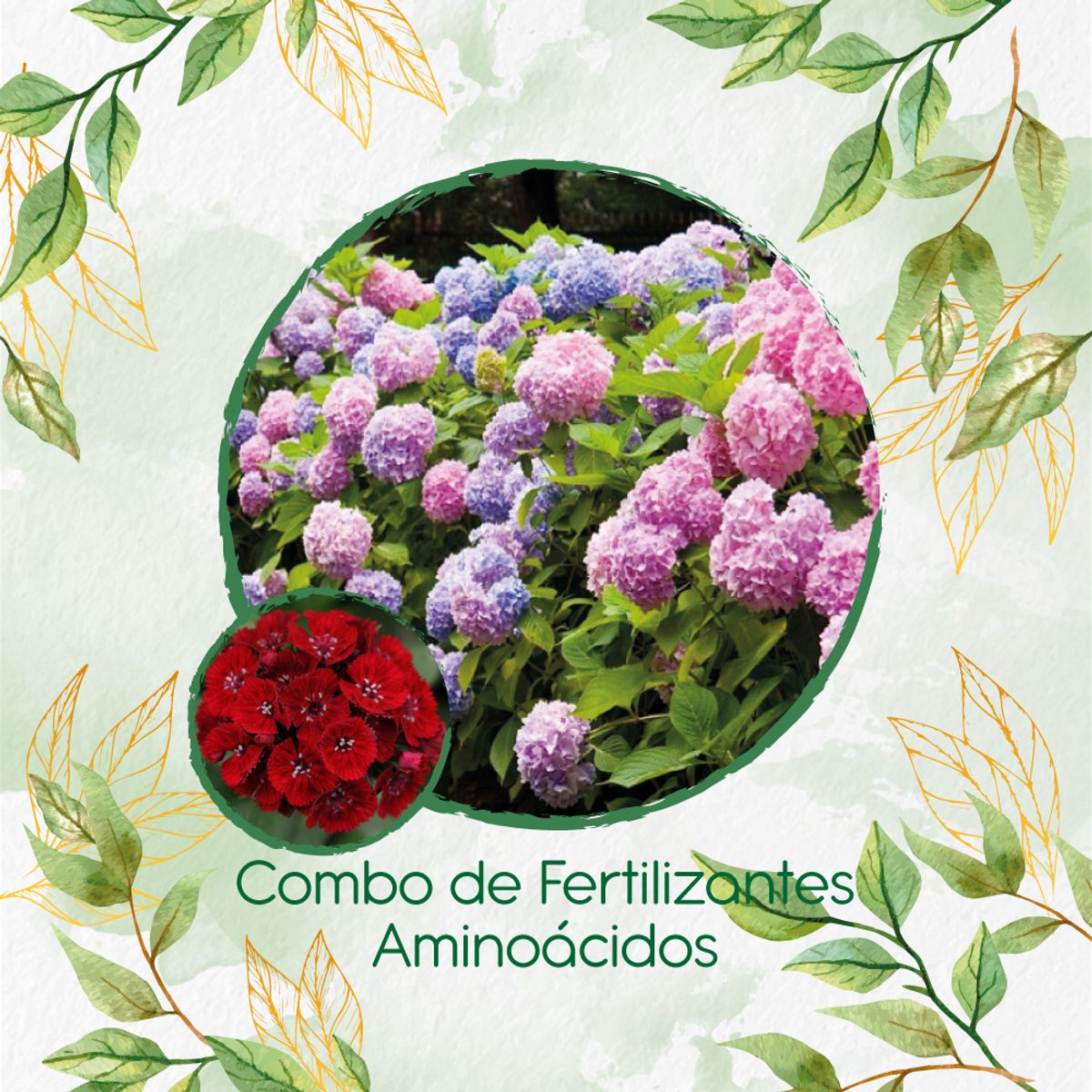 GENERICO - Combo De Fertilizantes Aminoácidos Para Flor Clavel