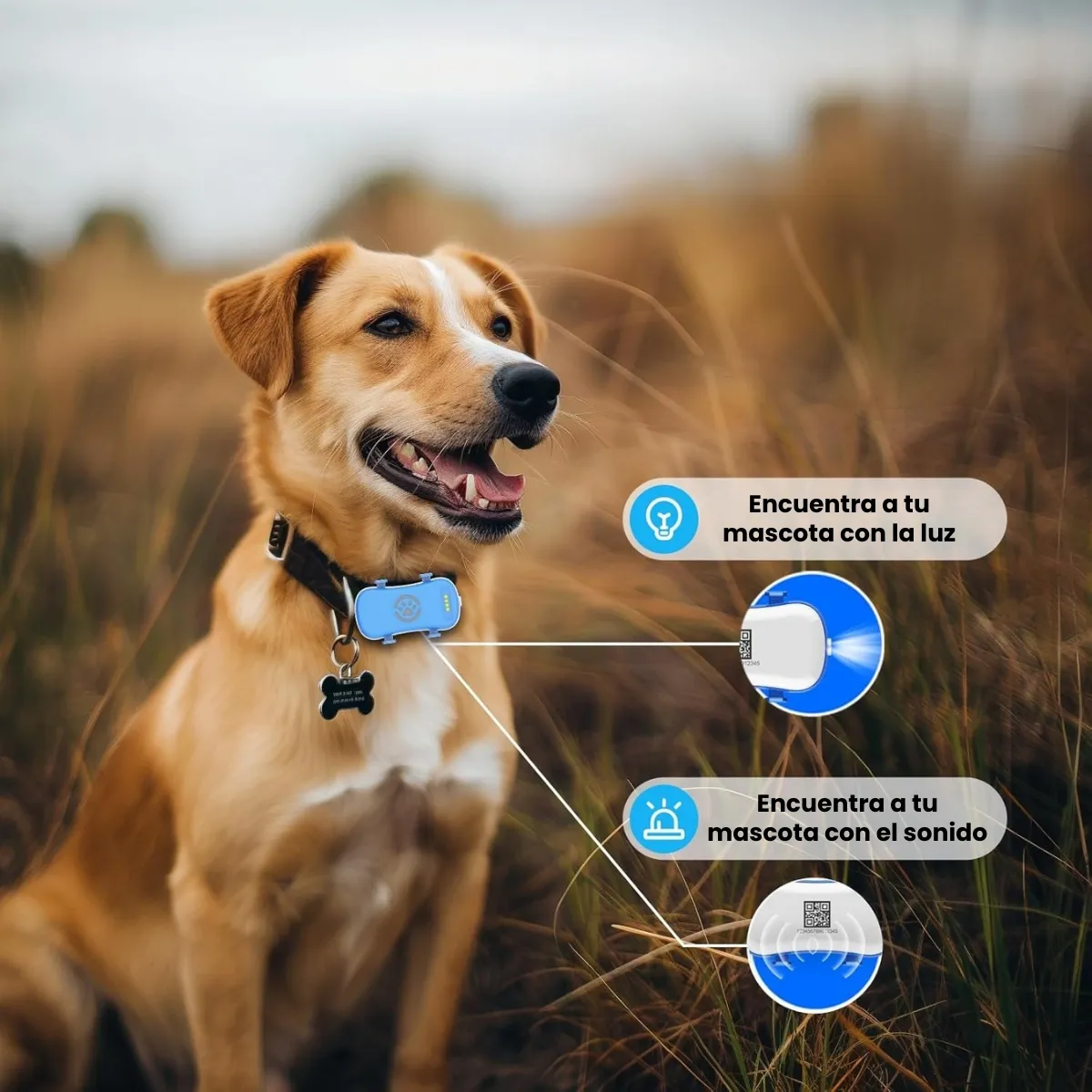 GENERICO - Collar Localizador GPS De Mascotas Perros Y Gatos Ajustable