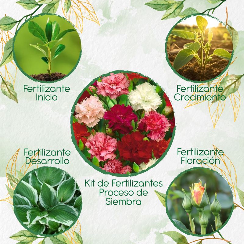 GENERICO - Kit De Fertilizantes Para La Siembra De Flor Clavel Chabaud