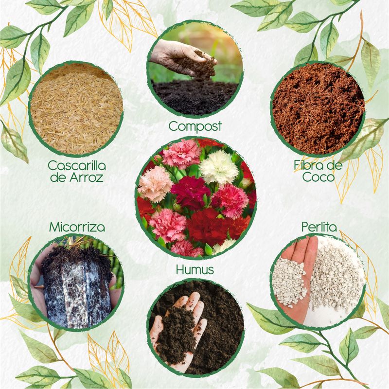 GENERICO - Kit De Acondicionadores De Suelos Para Flor Clavel Chabaud
