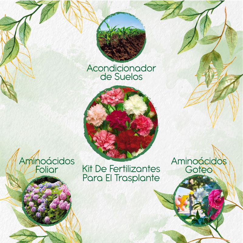 GENERICO - Kit De Fertilizantes Para El Trasplante De Flor Clavel Chabaud