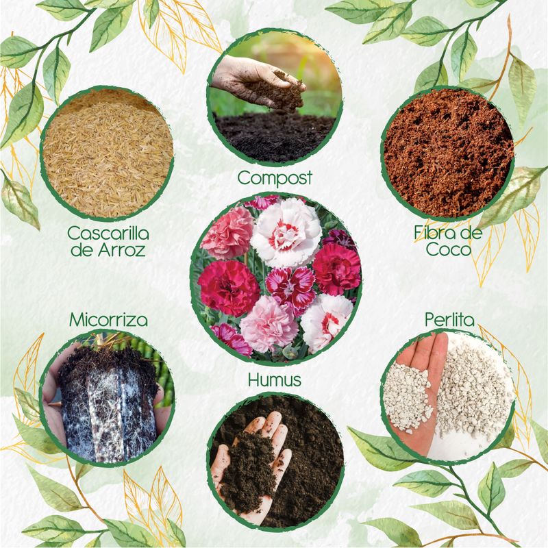 GENERICO - Kit De Acondicionadores De Suelos Para Flor Clavel Granadina- Grenadin