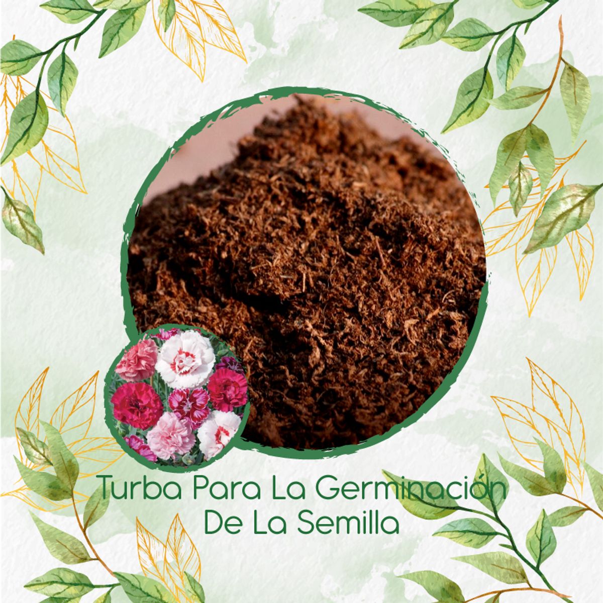 GENERICO - Turba Canadiense Especial Para Semillas De Clavel Granadina- Grenadin