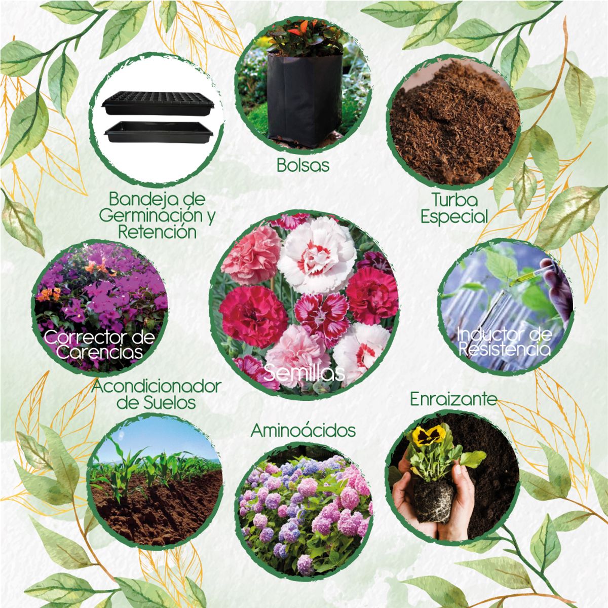 GENERICO - 400 Semillas De Clavel Granadina- Grenadin + Kit De Siembra