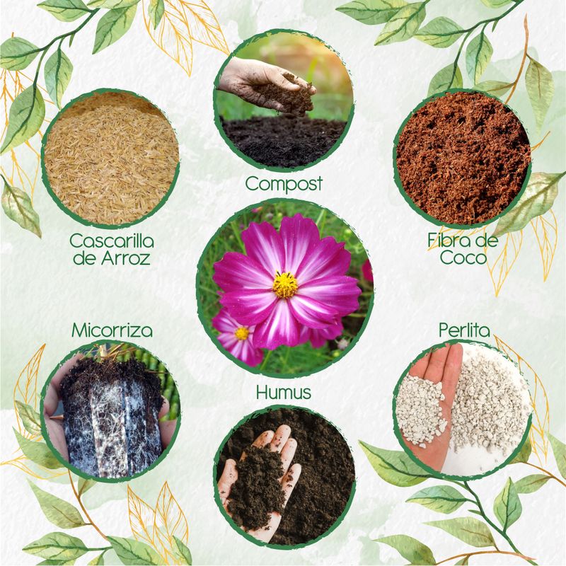 GENERICO - Kit De Acondicionadores De Suelos Para Flor Cosmos