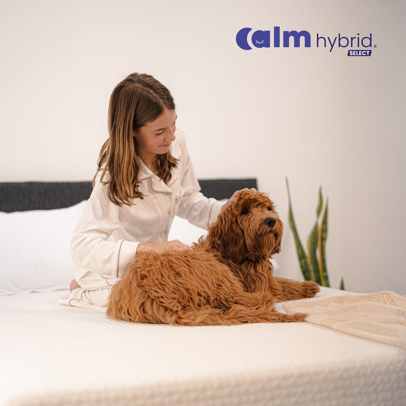 CALM - Colchón Calm Hybrid Select Queen Ortopédico con Resortes Pocket