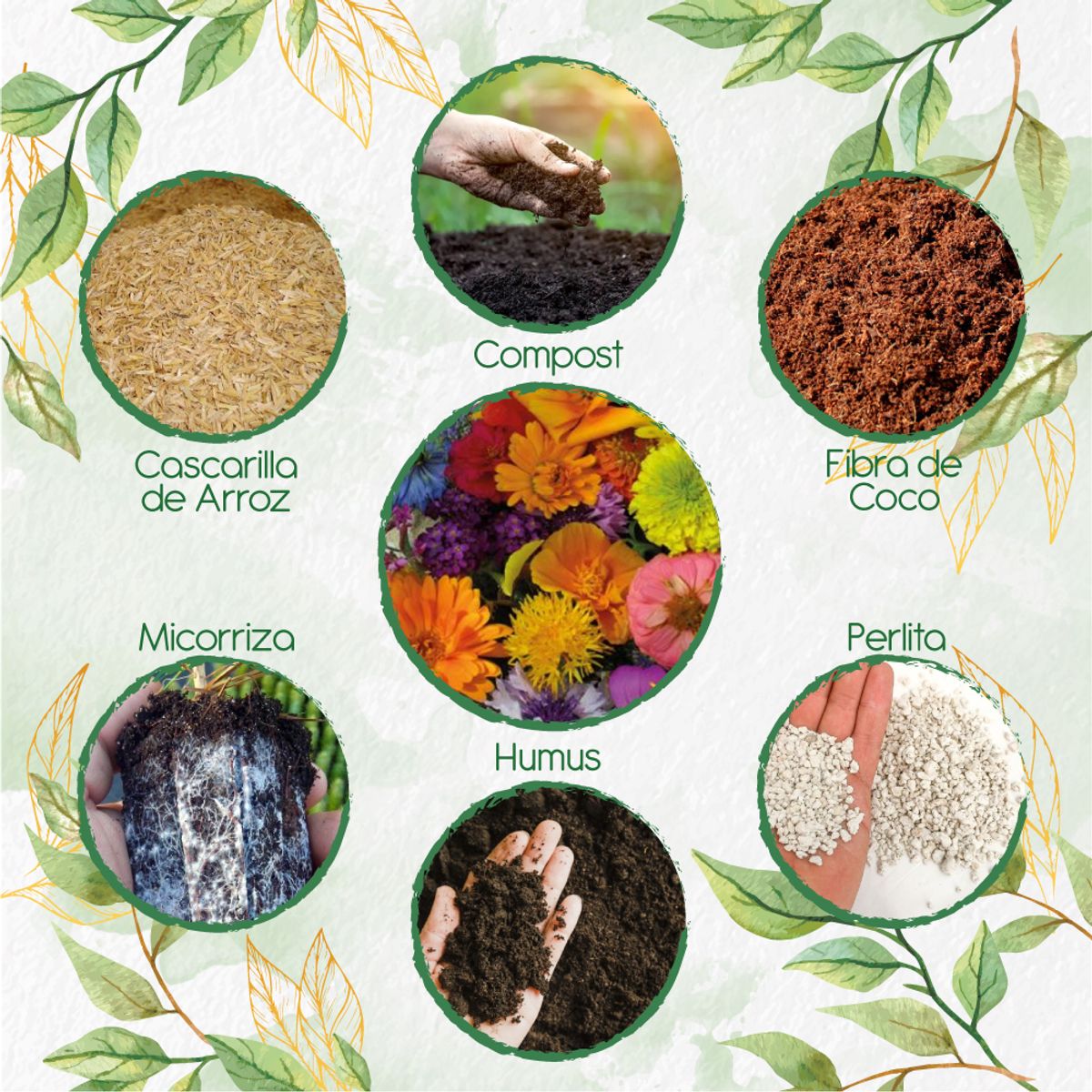 GENERICO - Kit De Acondicionadores De Suelos Para Flores Silvestres