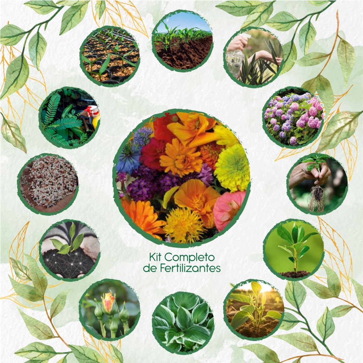 GENERICO - Kit Completo De Fertilizantes Para Flores Silvestres