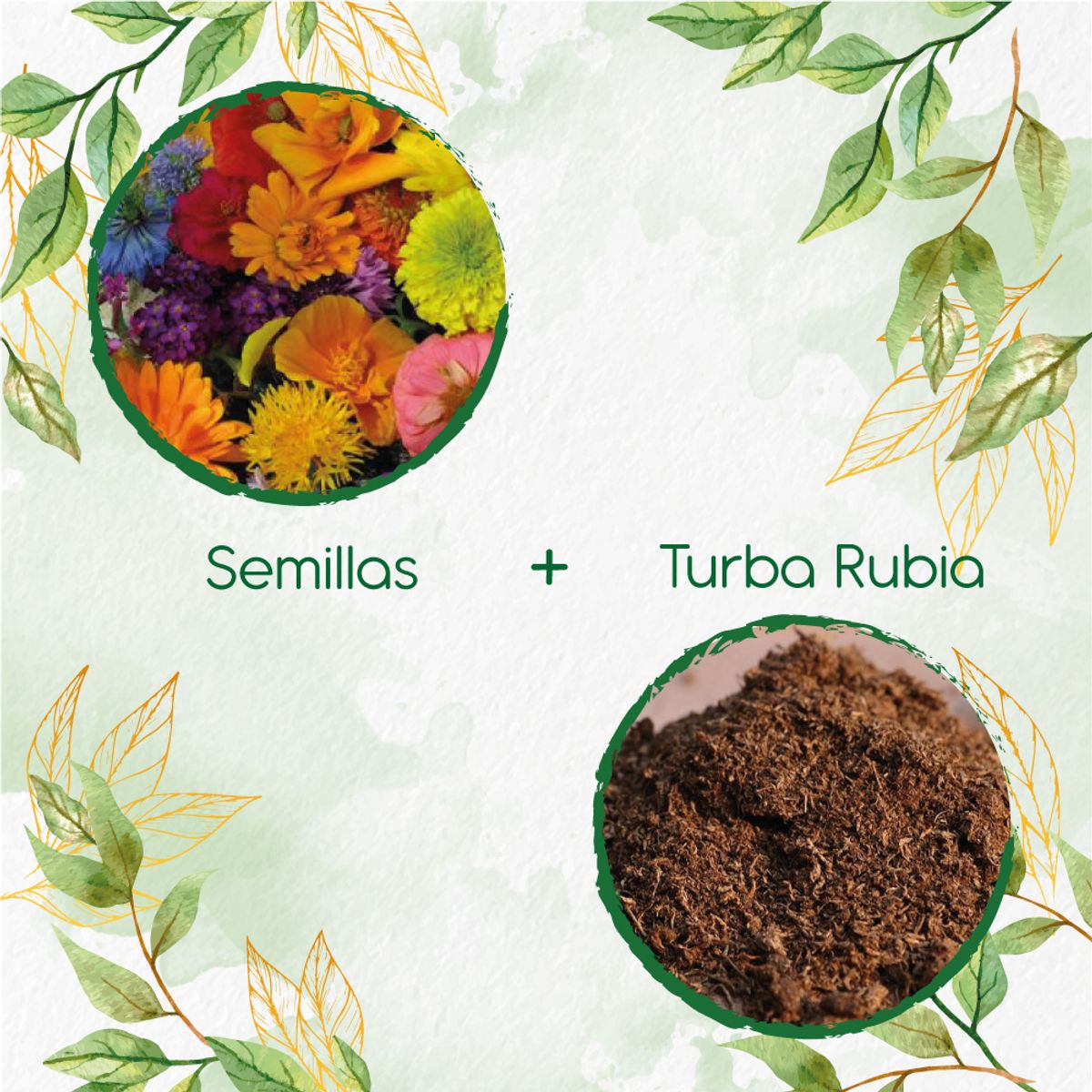 GENERICO - 200 Semillas De Flores Silvestres + Turba De Germinación