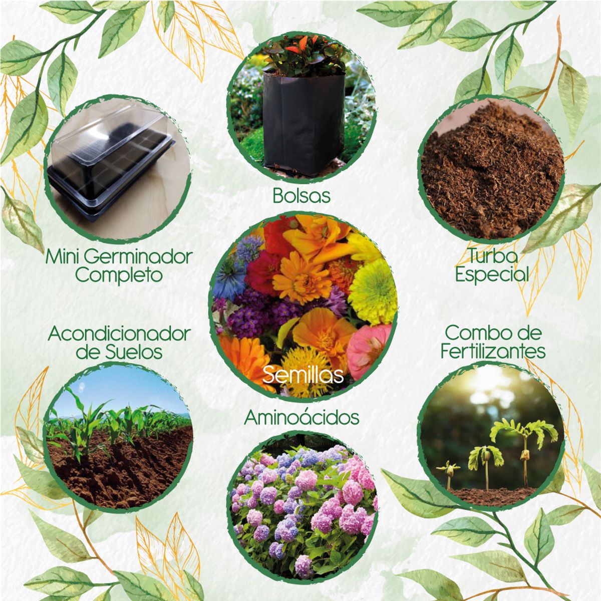 GENERICO - 200 Semillas De Flores Silvestres + Kit De Germinación Especial