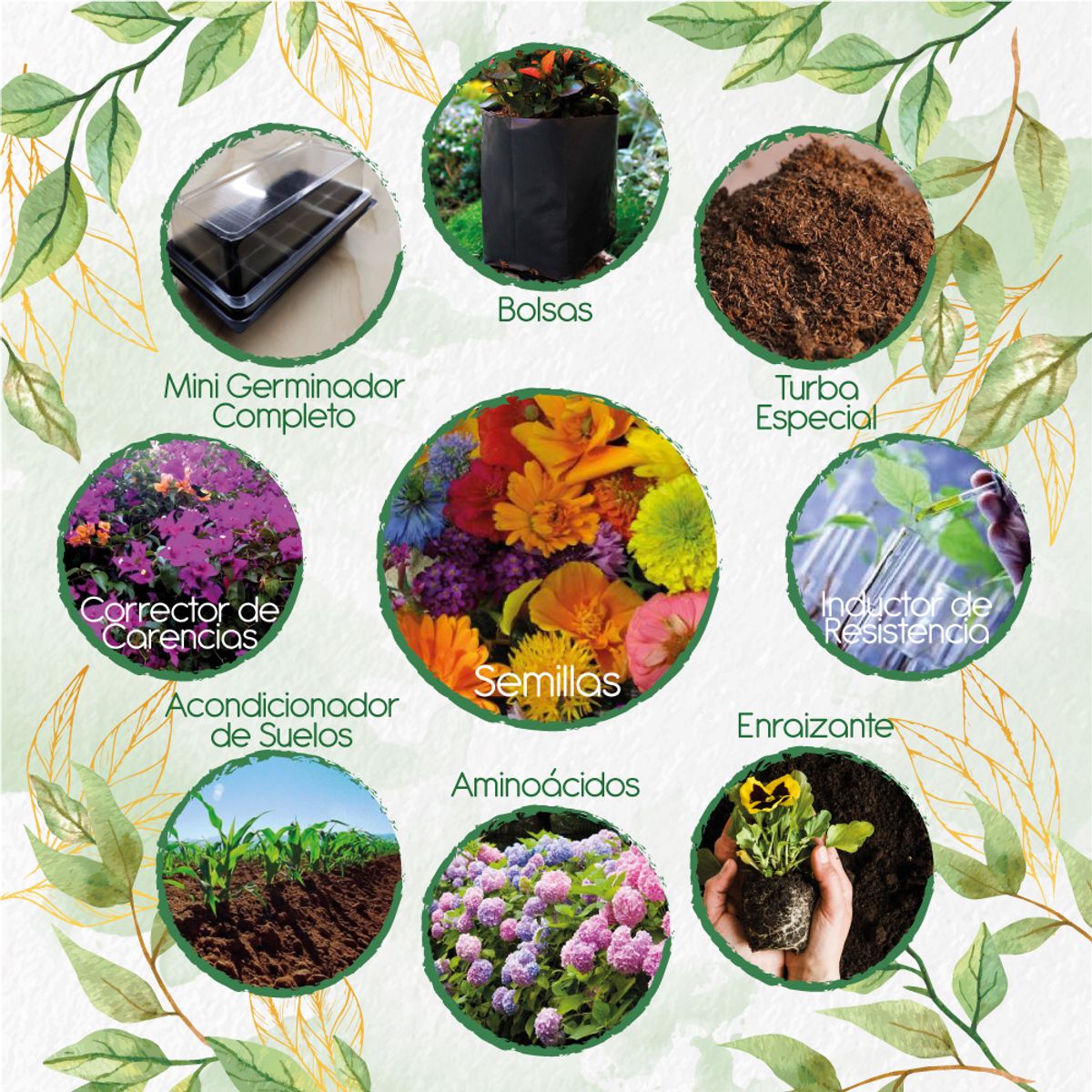 GENERICO - 200 Semillas De Flores Silvestres + Kit Completo De Germinación