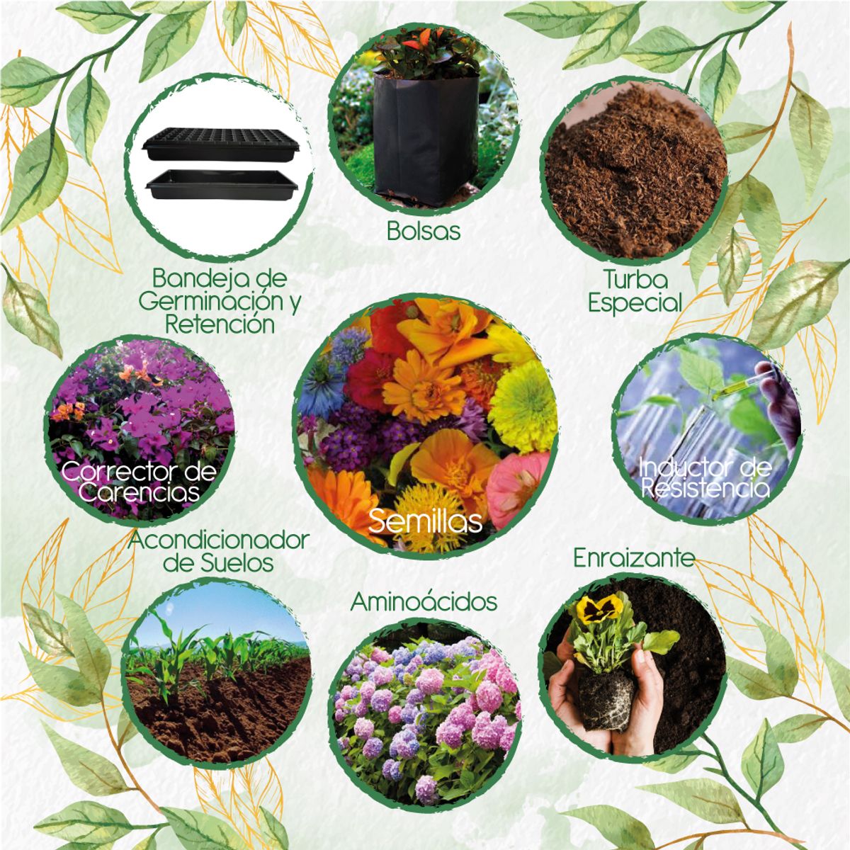 GENERICO - 400 Semillas De Flores Silvestres + Kit De Siembra