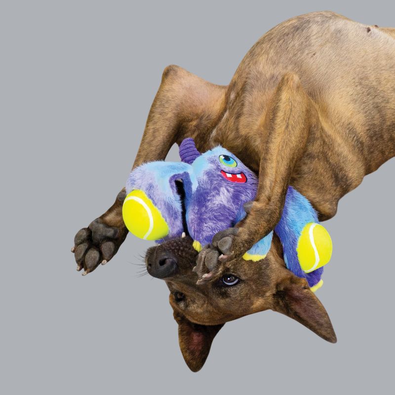 KONG COMPANY - KONG Woozles Peluche para Perro Colores Surtidos talla M
