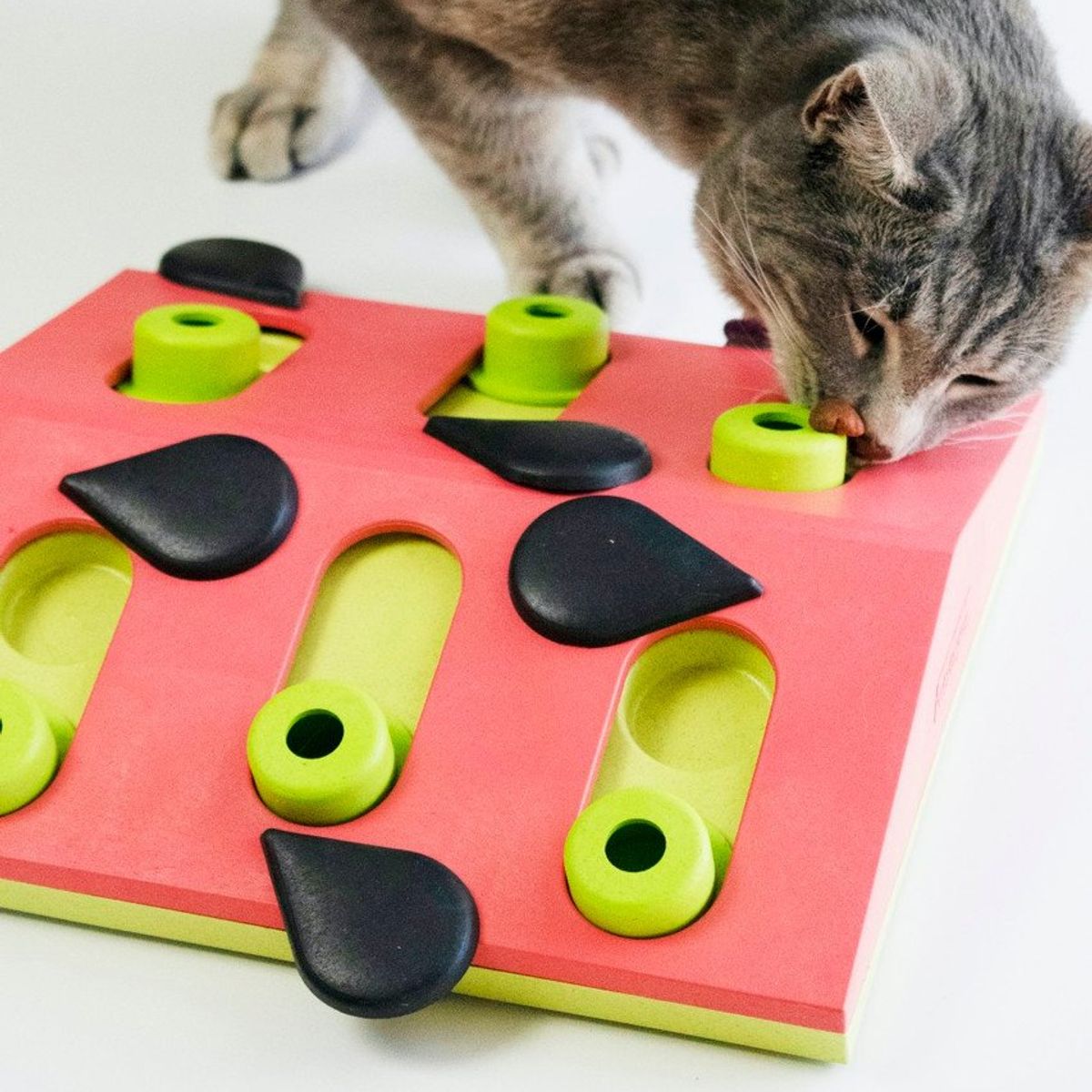 GENERICO - Nina Ottosson Melon Madness Rompecabezas Gato Nivel 2