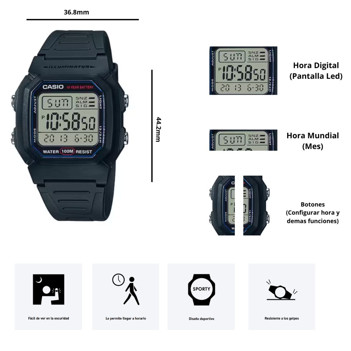 CASIO - Reloj Casio W-800H-1AV Diseño Deportivo