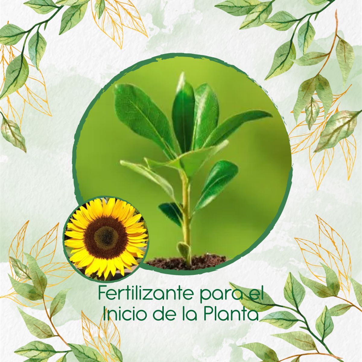 GENERICO - Fertilizante Para El Inicio De Flor Girasol Domino