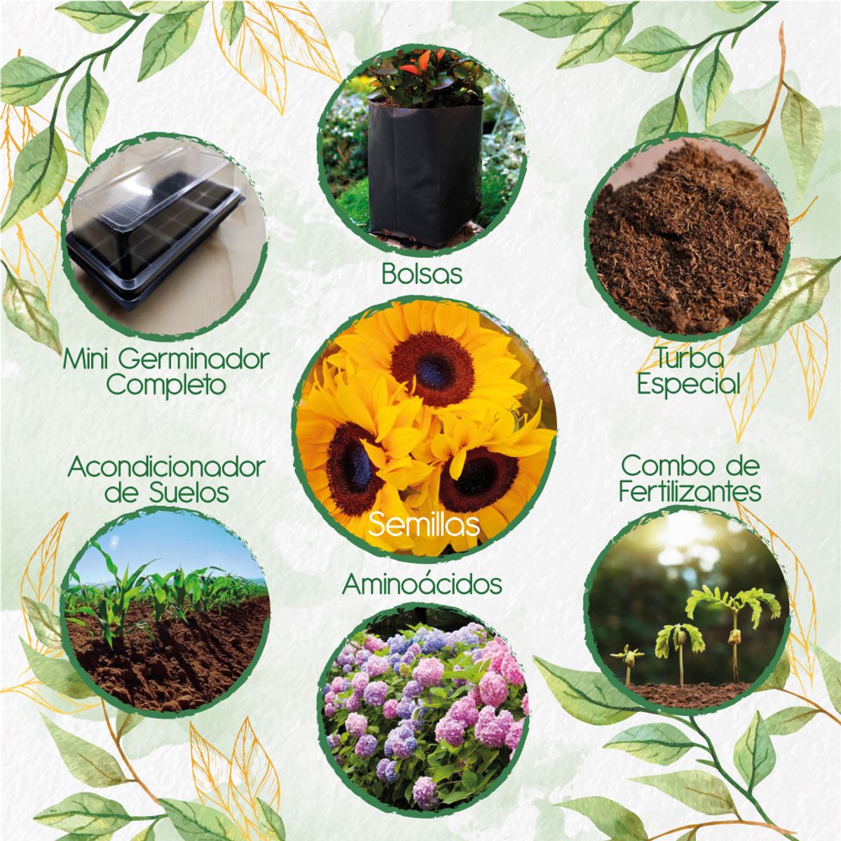 GENERICO - 10 Semillas De Girasol Mix Amarillos + Kit De Germinación Especial