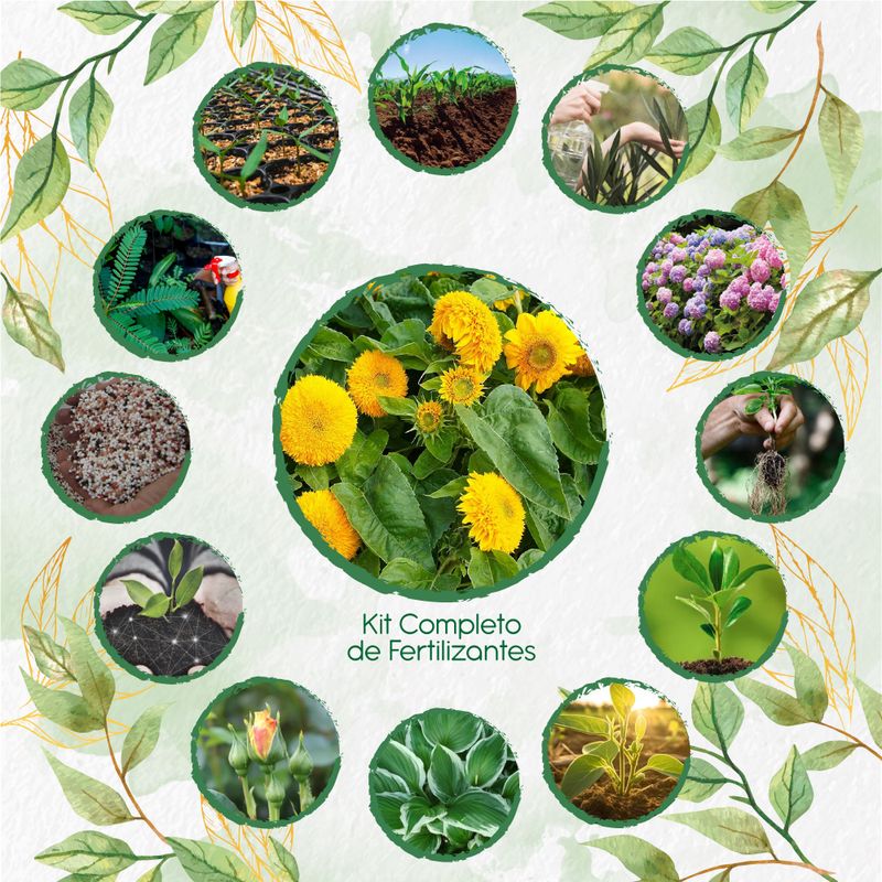 GENERICO - Kit Completo De Fertilizantes Para Flor Girasol Mix Enanos