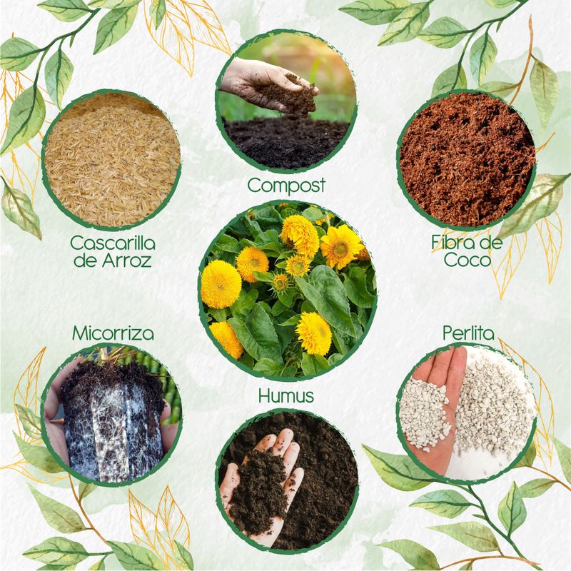 GENERICO - Kit De Acondicionadores De Suelos Para Flor Girasol Mix Enanos